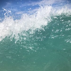 Meet your Posher, Jada